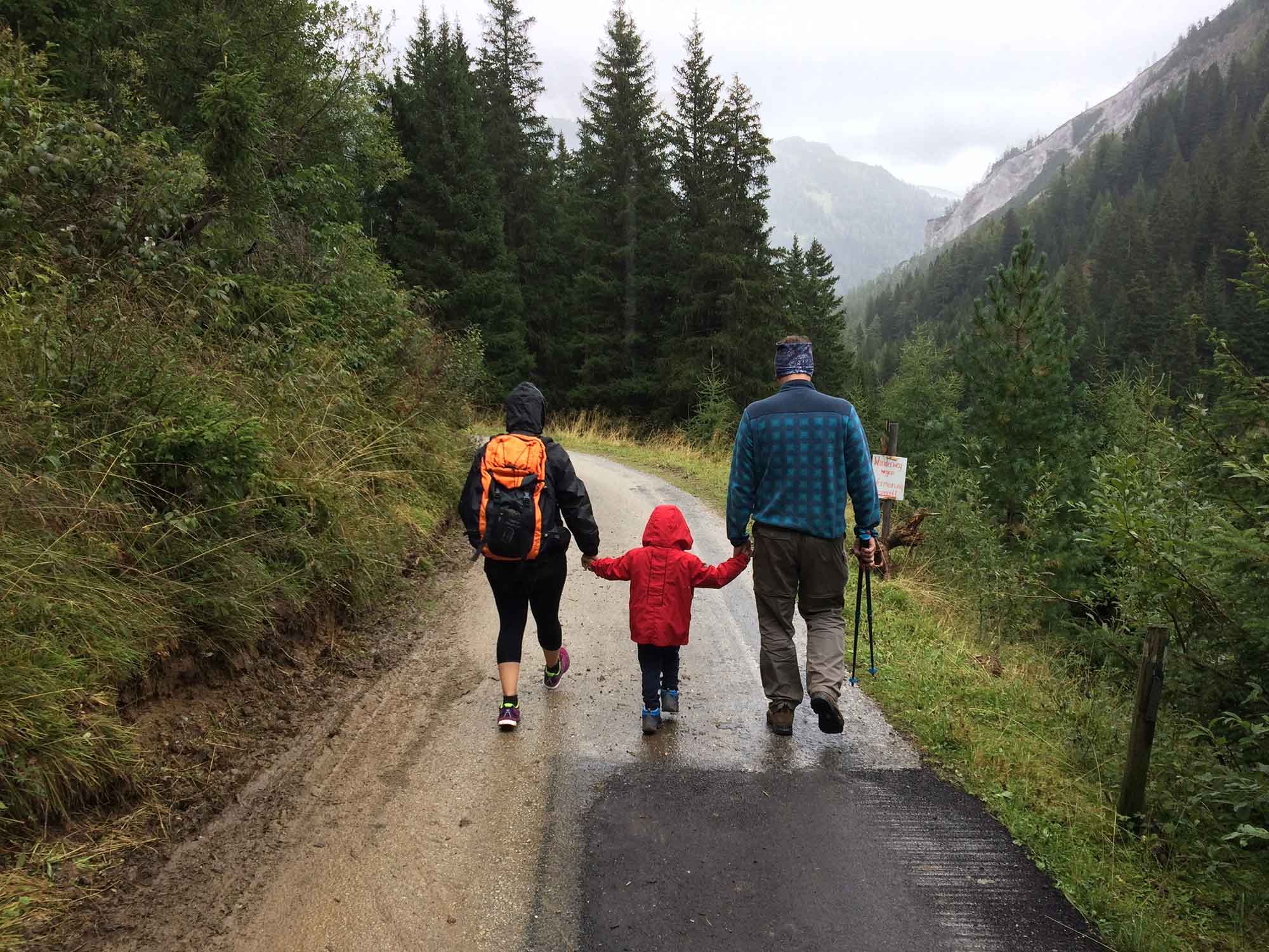 familj-i-skogen som håller hand